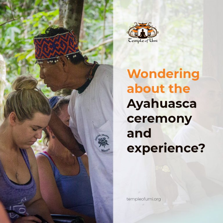 5 Ayahuasca Retreats in California Worth Exploring For 2025 TEMPLE OF UMI