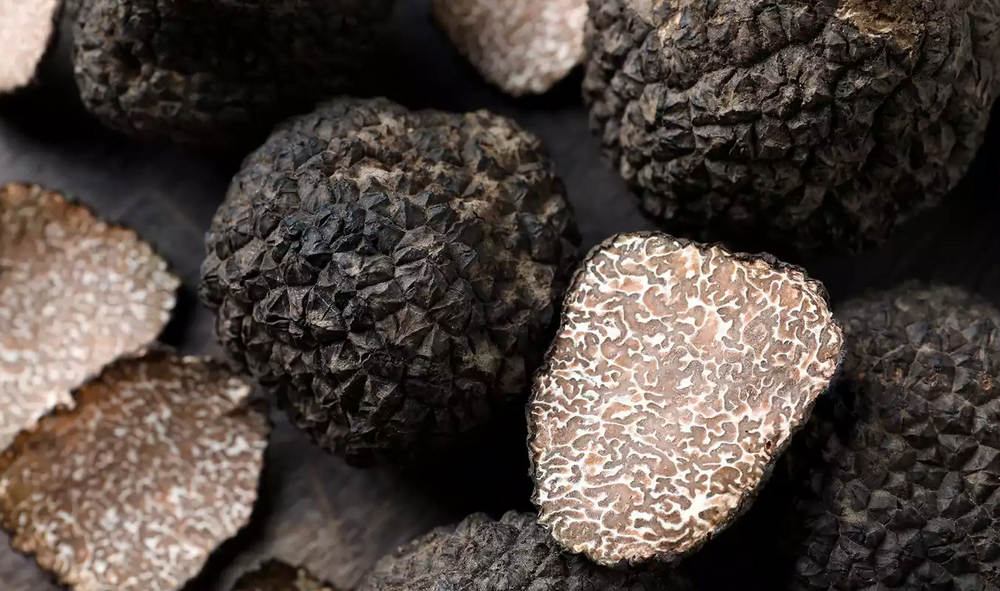 What Is a Truffle