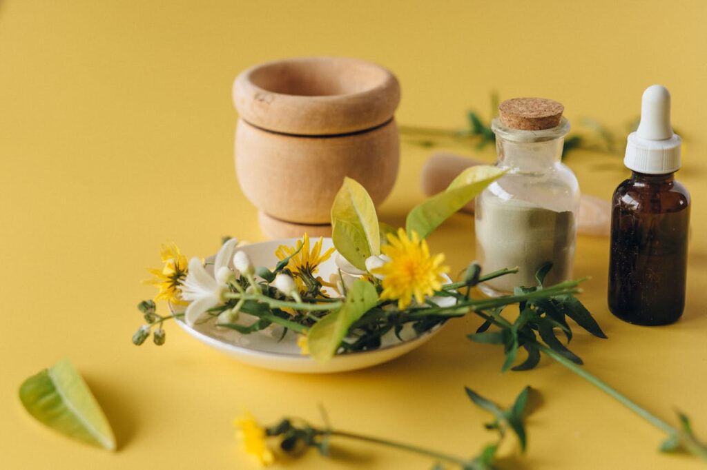 Plant medicine integration, Plant medicine journeys