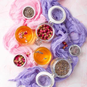 The Nervous System Reset Healing Bundle